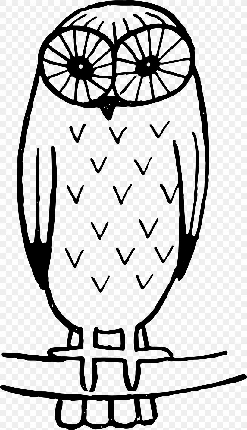 Black-and-white Owl Clip Art, PNG, 2256x3928px, Watercolor, Cartoon, Flower, Frame, Heart Download Free