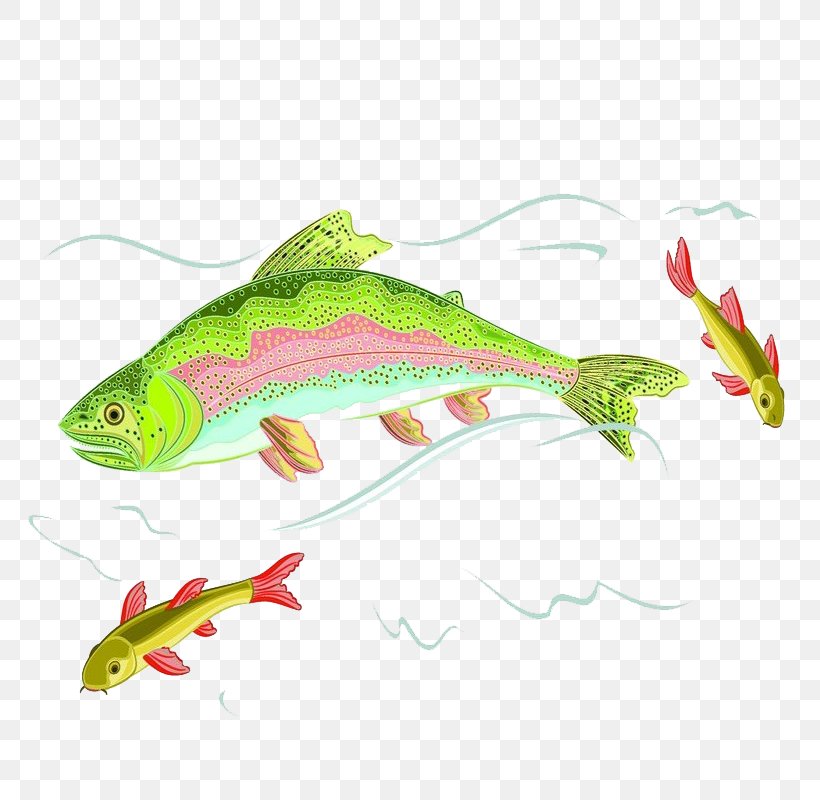 Fish Euclidean Vector Illustration, PNG, 800x800px, Fish, Cutthroat Trout, Drawing, Fauna, Fin Download Free