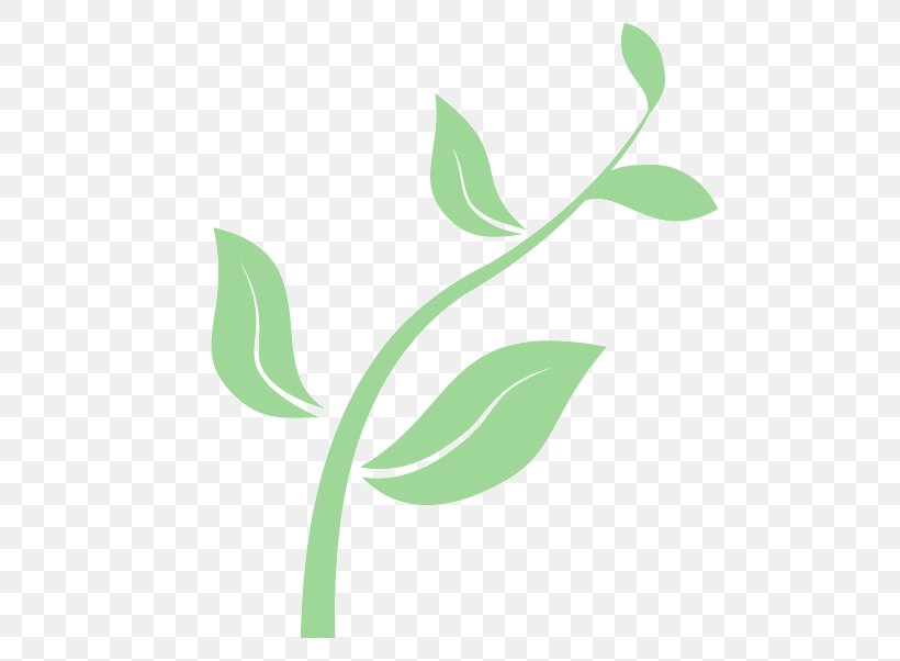 Seedling From Seed To Plant Clip Art, PNG, 521x602px, Seedling, Blog, Branch, Flora, Flower Download Free