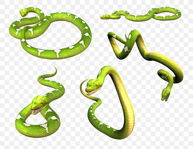 Smooth Green Snake Eastern Green Mamba, PNG, 1667x1289px, Snake, Animal Figure, Body Jewelry, Cobra, Eastern Green Mamba Download Free