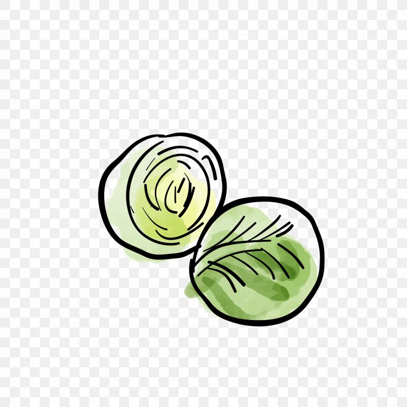 Cabbage Israeli Salad Nakji-bokkeum Vegetable Food, PNG, 1667x1667px, Cabbage, Brassica Oleracea, Coreldraw, Flower, Flowering Plant Download Free