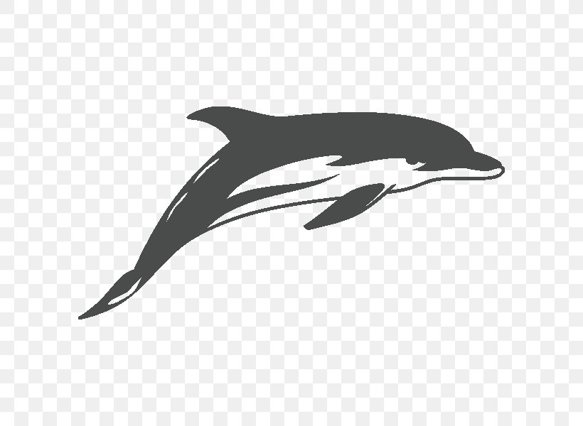 Common Bottlenose Dolphin Sticker Drawing Decal Tattoo, PNG, 600x600px, Common Bottlenose Dolphin, Beak, Black And White, Decal, Die Cutting Download Free