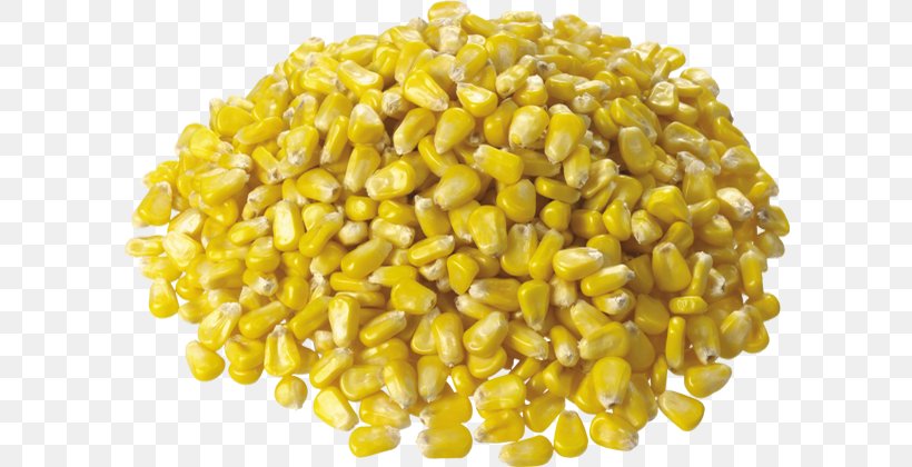 Corn On The Cob Maize Corn Kernel Sweet Corn, PNG, 600x420px, Corn On The Cob, Cereal Germ, Commodity, Corn Kernel, Corn Kernels Download Free