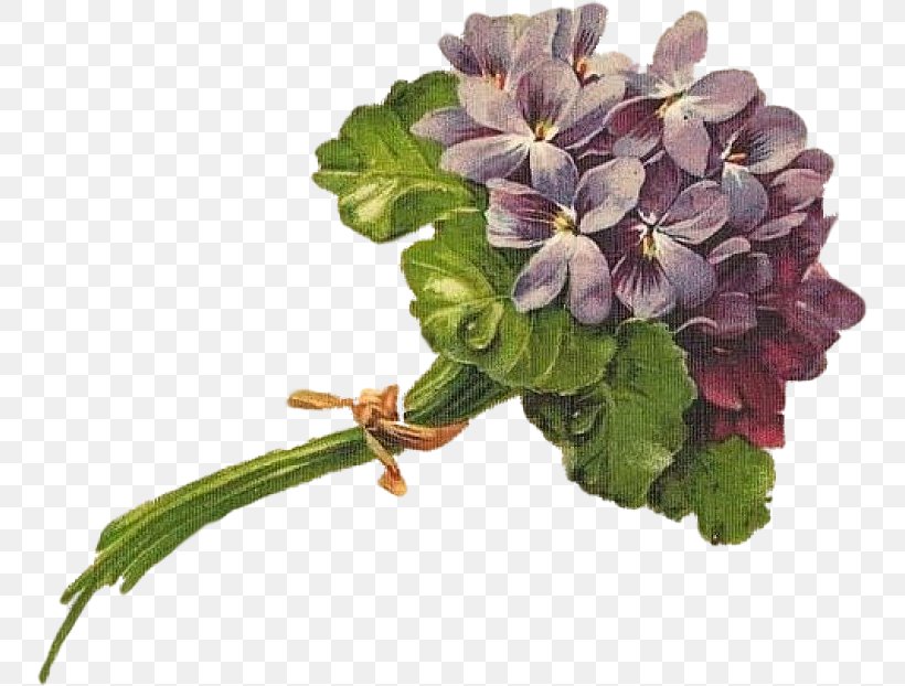 Cut Flowers Flower Bouquet Violet, PNG, 752x622px, Cut Flowers, Annual Plant, Embroidery, Flower, Flower Bouquet Download Free