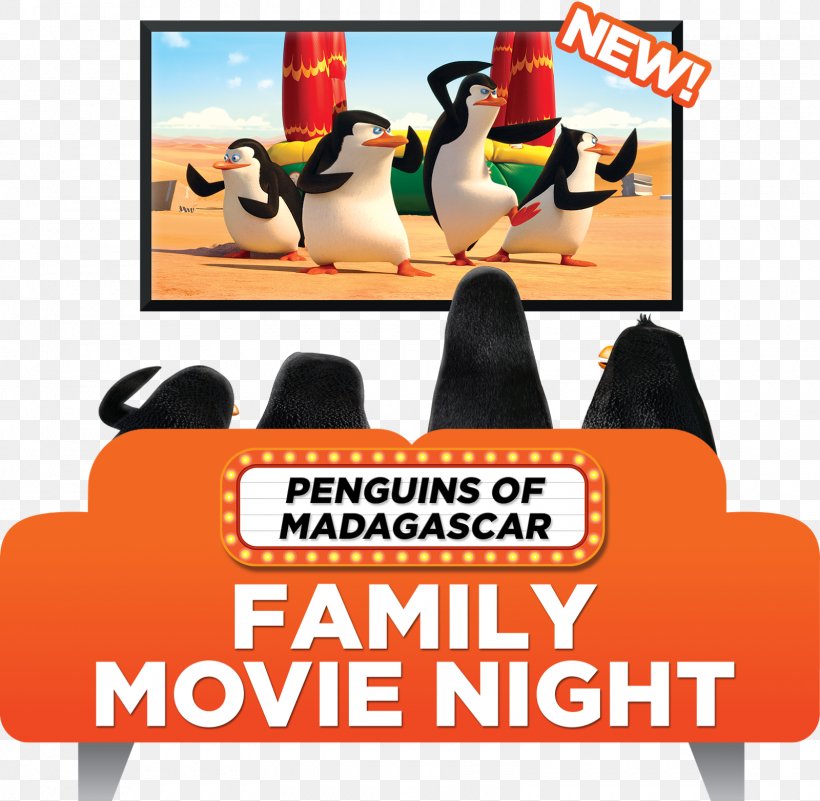 Family Film Night At The Museum Madagascar Fox News, PNG, 1600x1564px, 20th Century Fox Home Entertainment, Film, Advertising, Area, Banner Download Free