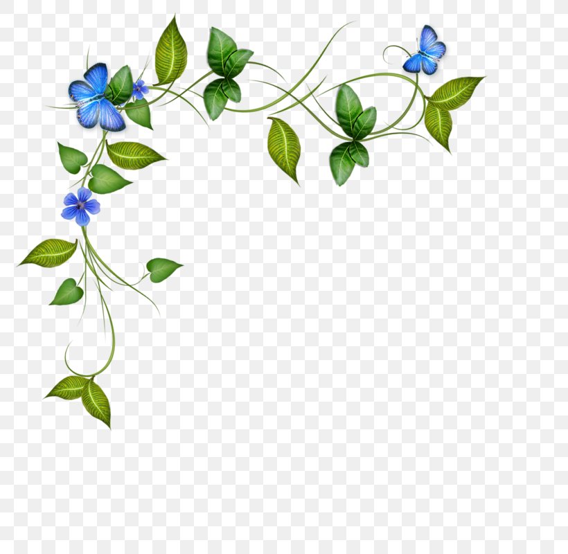 Flower Floral Design Petal Plant Stem Curb, PNG, 800x800px, Flower, Blue, Branch, Curb, Drawing Download Free