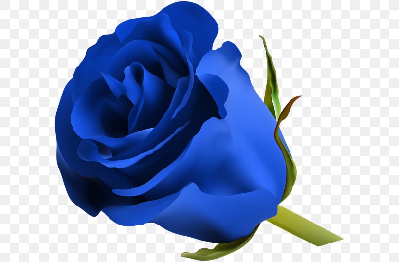 Blue Rose Flower Clip Art, PNG, 600x538px, Blue Rose, Blue, Blue Flower, Cobalt Blue, Color Download Free