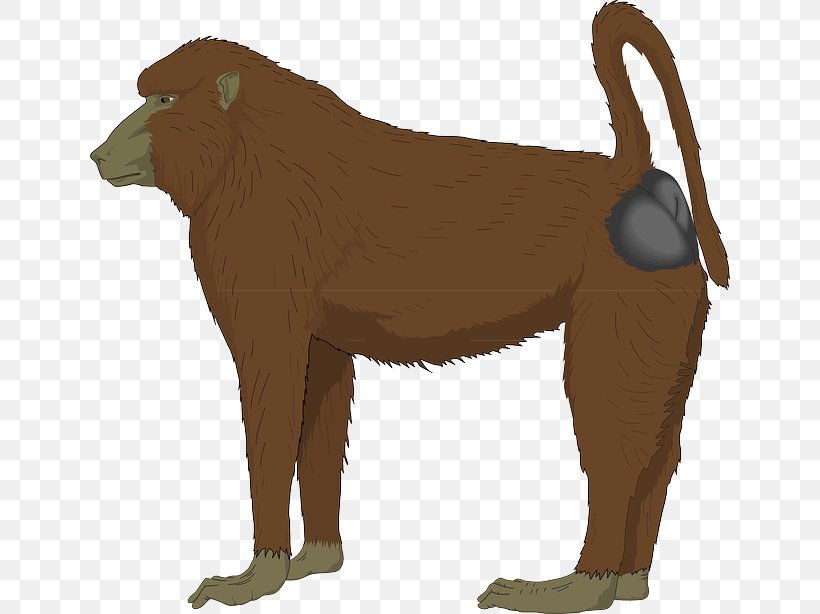 Mandrill Hamadryas Baboon Royalty-free Clip Art, PNG, 640x614px, Mandrill, Animal Figure, Baboons, Big Cats, Carnivoran Download Free