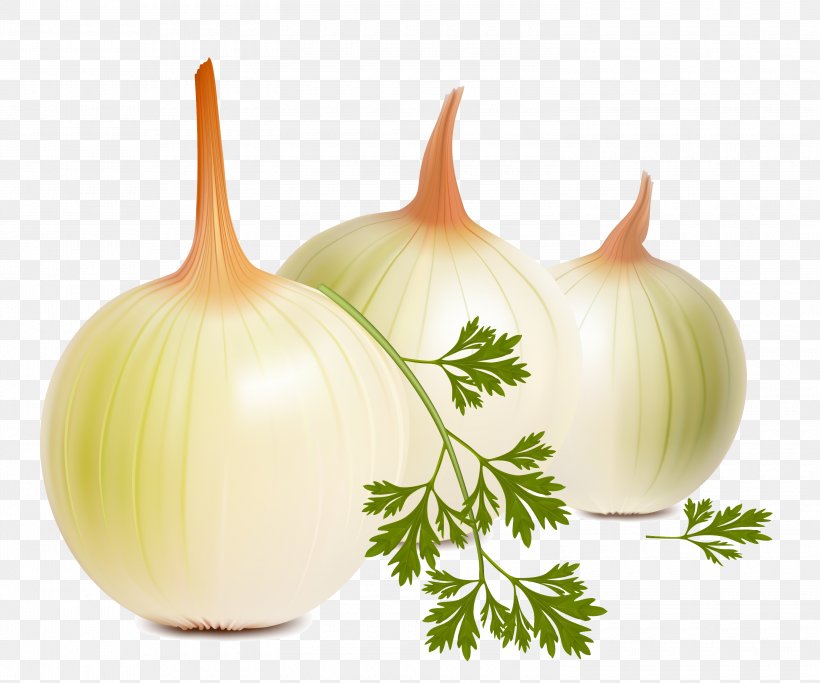 Onion Shashlik Vegetable Clip Art, PNG, 3000x2500px, Onion, Allium Fistulosum, Cuisine, Food, Fruit Download Free