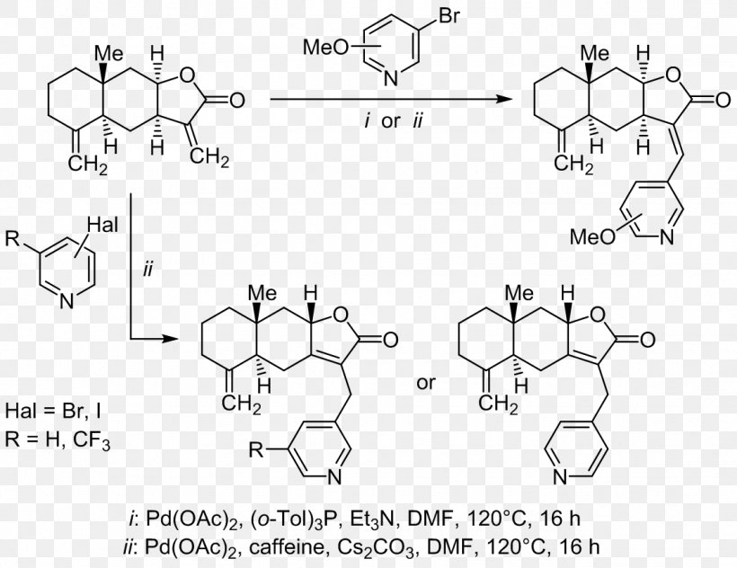 Sesquiterpene Lactone Chemical Synthesis Chemistry, PNG, 1131x872px, Sesquiterpene, Area, Auto Part, Black And White, Chemical Compound Download Free