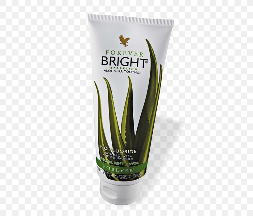 Aloe Vera Forever Living Products Gel Human Tooth, PNG, 700x700px, Aloe Vera, Aloe, Cream, Deodorant, Flowerpot Download Free