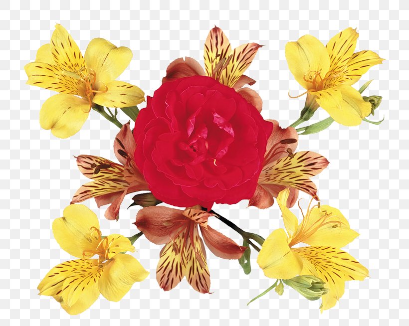 Cut Flowers Alstroemeriaceae Petal Insect, PNG, 800x654px, Flower, Alstroemeriaceae, Biscuits, Cut Flowers, Flowering Plant Download Free