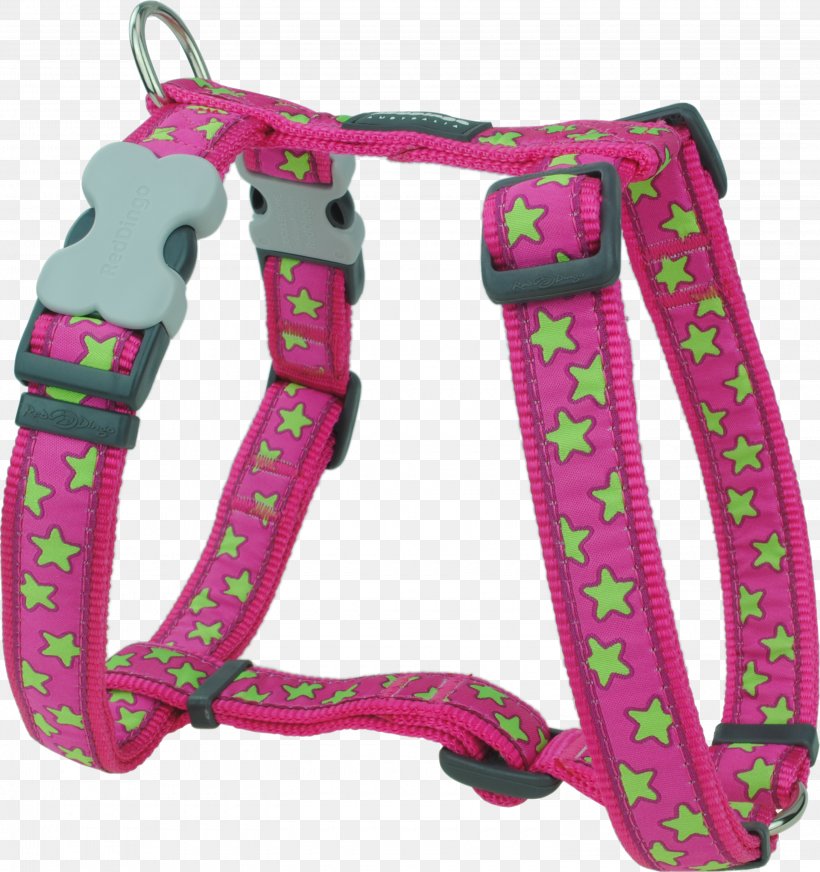 Dingo Dog Harness Yorkshire Terrier Dog Collar Pet, PNG, 3000x3191px, Dingo, Collar, Color, Dog, Dog Collar Download Free