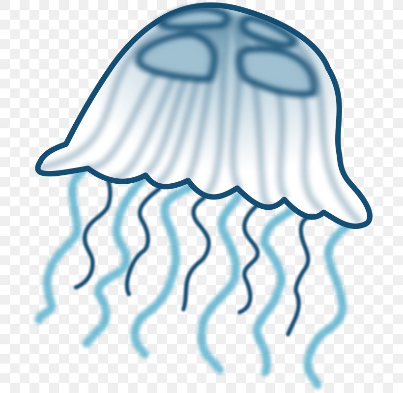 Jellyfish Free Content Clip Art, PNG, 696x800px, Jellyfish, Area, Black And White, Blue Jellyfish, Cartoon Download Free