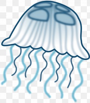 Seashore Clipart - Jellyfish Free Content Clip Art PNG