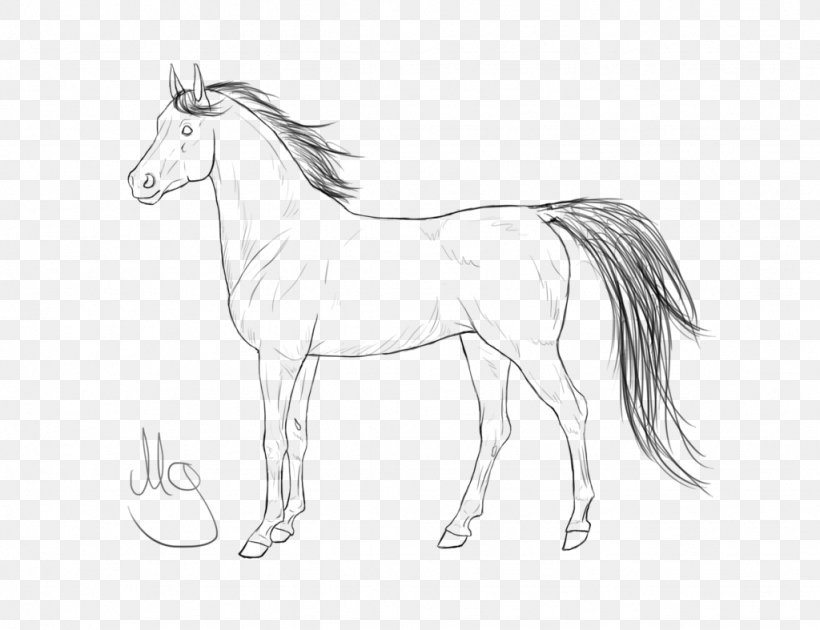 Mane Foal Halter Mustang Colt, PNG, 1024x787px, Mane, Animal Figure, Artwork, Black And White, Bridle Download Free