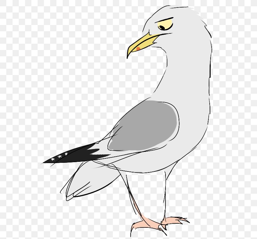 European Herring Gull Gulls Bird Of Prey Beak, PNG, 608x765px, European Herring Gull, Beak, Bird, Bird Of Prey, Charadriiformes Download Free
