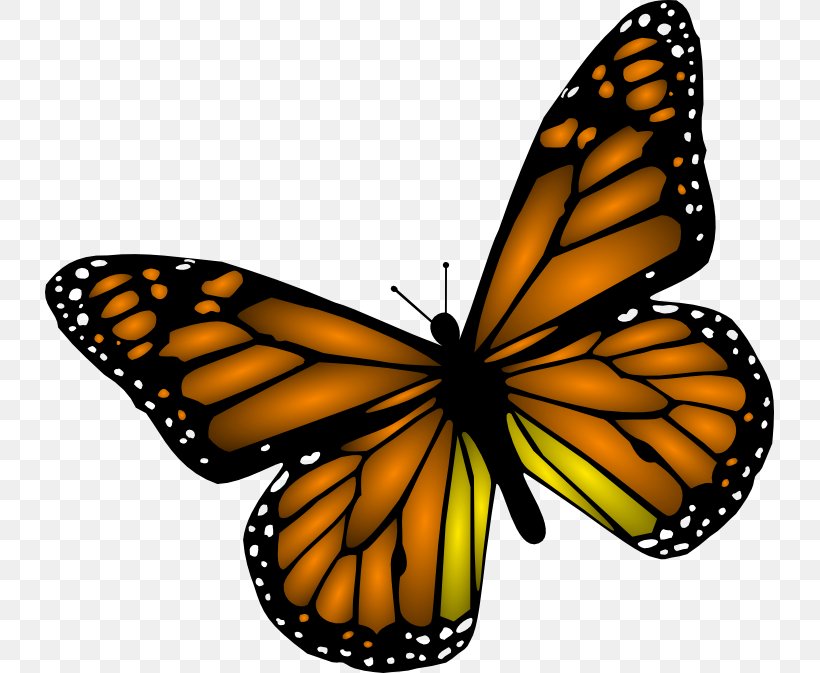 Monarch Butterfly Clip Art, PNG, 729x673px, Butterfly, Arthropod, Blog, Brush Footed Butterfly, Drawing Download Free