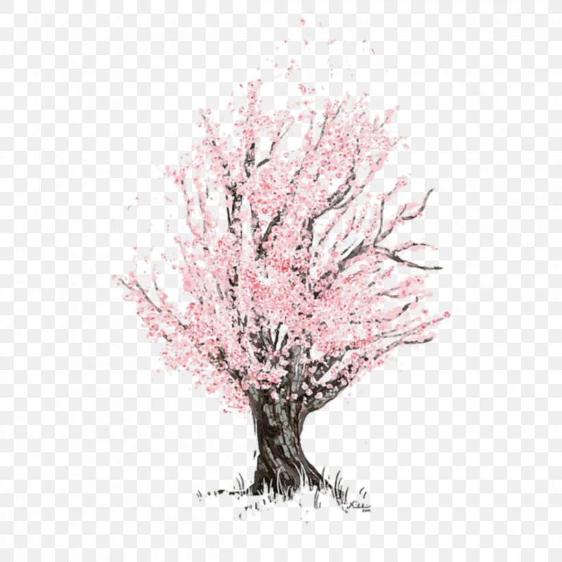 Cherry Blossom, PNG, 2289x2289px, Drawing, Blossom, Branch, Cherries, Cherry Blossom Download Free