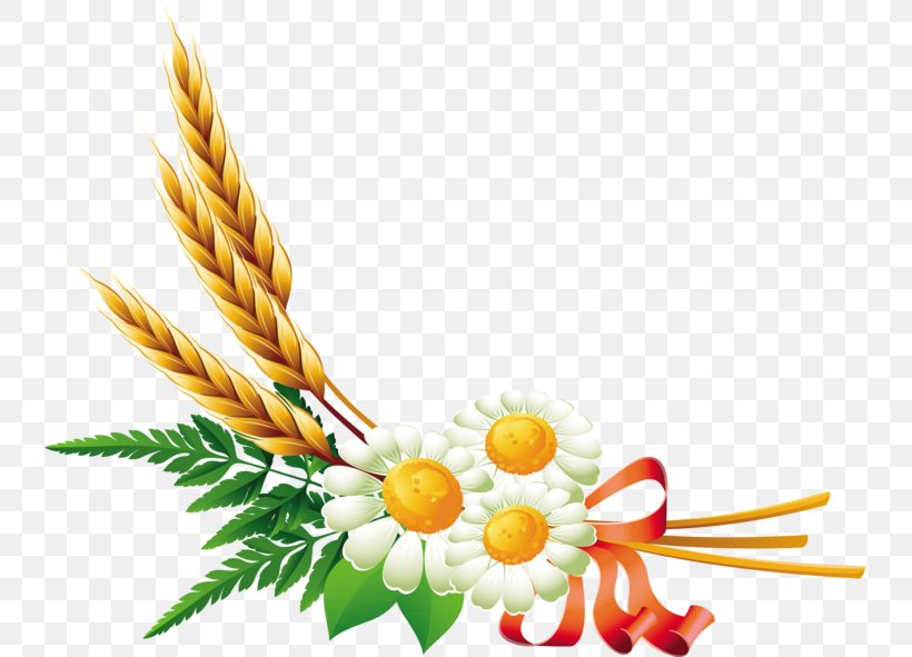 Clip Art Vector Graphics Wheat Watercolor Painting Drawing, PNG, 770x591px, Wheat, Commodity, Cut Flowers, Drawing, Floral Design Download Free