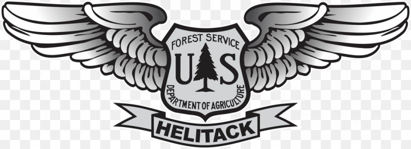 United States Forest Service Smokey Bear United States National Forest Logo, PNG, 1100x400px, United States, Aviation, Beak, Bird, Bird Of Prey Download Free