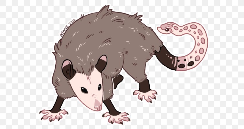 Common Opossum Virginia Opossum Mouse Snout, PNG, 600x433px, Common Opossum, Animal, Animal Figure, Carnivoran, Cartoon Download Free