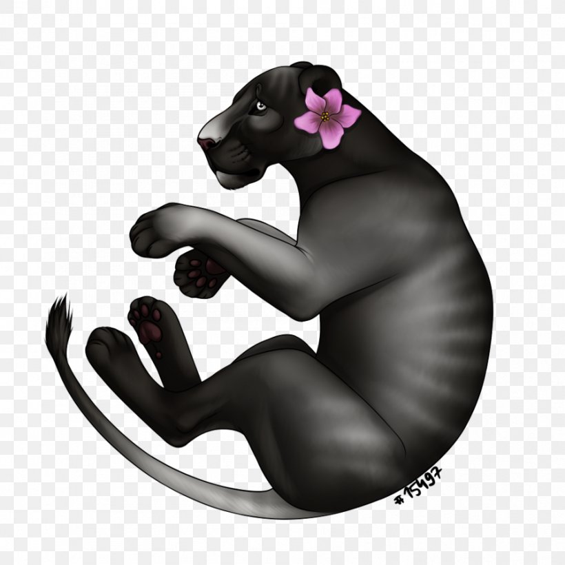 Big Cat Dog Canidae Puma, PNG, 894x894px, Cat, Big Cat, Big Cats, Black Panther, Canidae Download Free