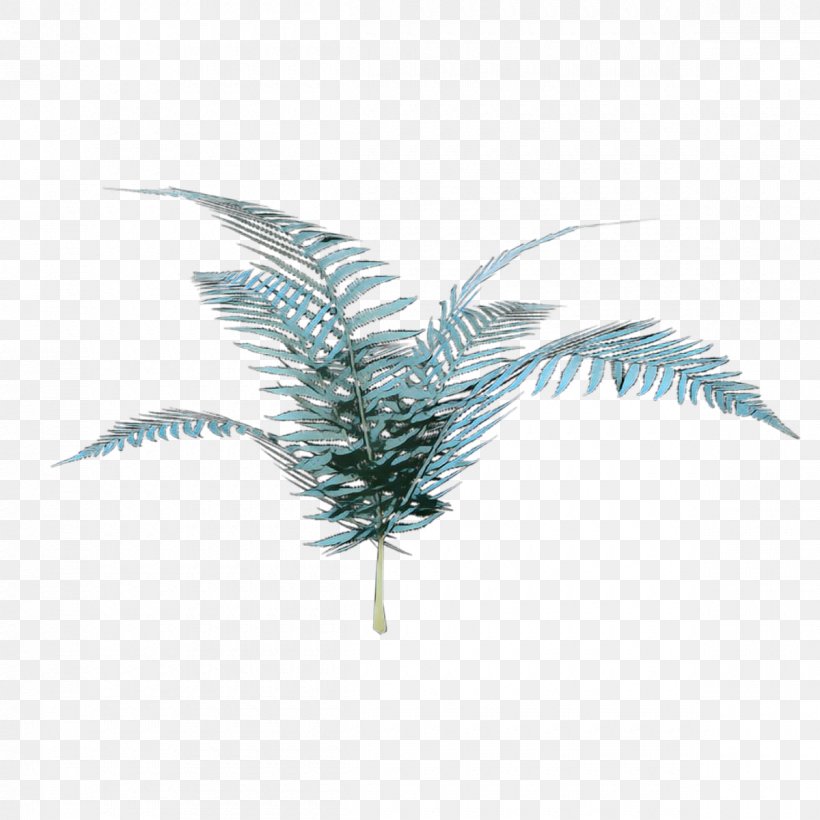Cartoon Palm Tree, PNG, 1200x1200px, Pop Art, Arecales, Fashion Accessory, Feather, Headgear Download Free