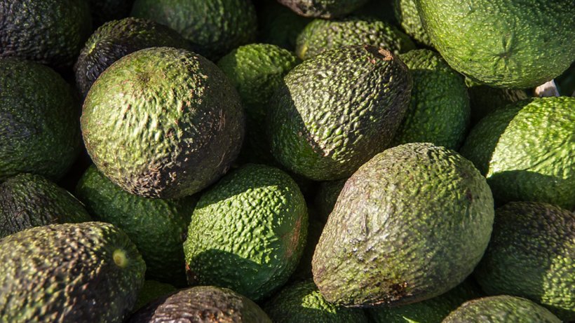 Hass Avocado Fruit Food Auglis Plant, PNG, 1280x720px, Hass Avocado, Auglis, Avocado, Avocado Production In Mexico, Cempedak Download Free