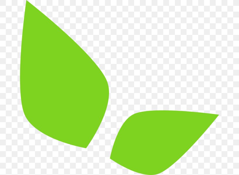Logo Brand Line Leaf, PNG, 684x602px, Logo, Brand, Grass, Green, Leaf Download Free