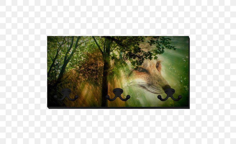 Red Fox Forest Desktop Wallpaper Wildlife, PNG, 500x500px, Red Fox, Animal, Bany De Bosc, Deciduous, Ecosystem Download Free