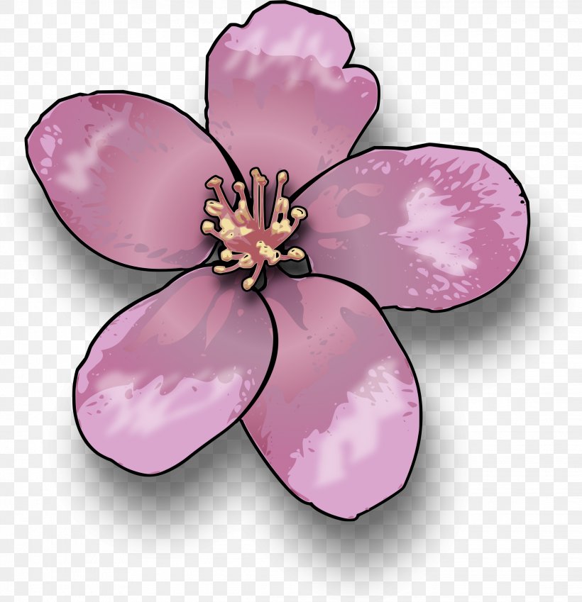 Cherry Blossom Clip Art, PNG, 2275x2357px, Blossom, Apple, Cherry, Cherry Blossom, Drawing Download Free