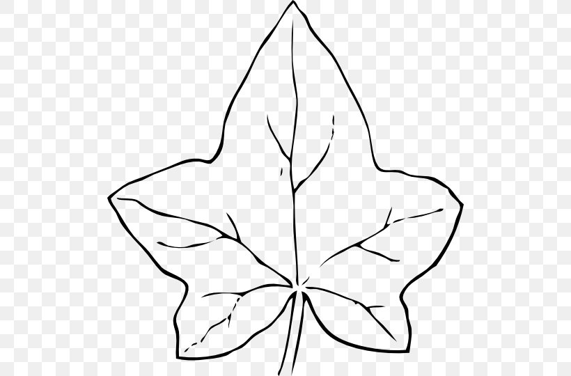 Ivy Vine Clip Art, PNG, 512x540px, Ivy, Area, Artwork, Black And White, Drawing Download Free