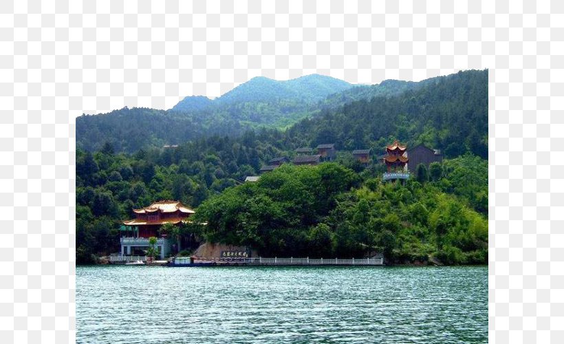 Longyou County Kaihua County Qiantang River Taizhen Xiang U836fu738bu5c71, PNG, 600x500px, Longyou County, Bay, Coast, East China, Farm Stay Download Free