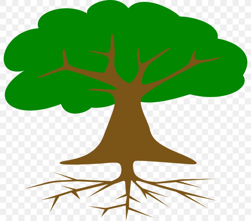 Tree Root Clip Art, PNG, 796x720px, Tree, Artwork, Branch, Document, Drawing Download Free