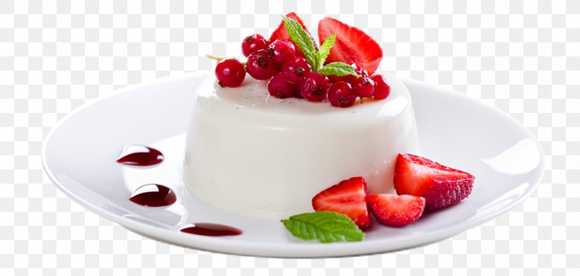 Dessert Ice Cream Panna Cotta Custard, PNG, 1000x478px, Dessert, Bavarian Cream, Blancmange, Buttercream, Cheesecake Download Free