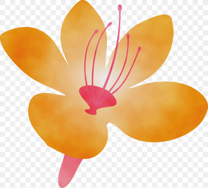 Orange, PNG, 3000x2715px, Azalea, Anthurium, Azalea Flower, Flower, Orange Download Free