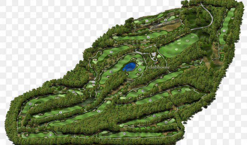 Salish Cliffs Golf Club Chambers Bay Golf Course Golf Tees Golf Balls, PNG, 1500x879px, Salish Cliffs Golf Club, Ball, Chambers Bay, Country Club, Golf Download Free