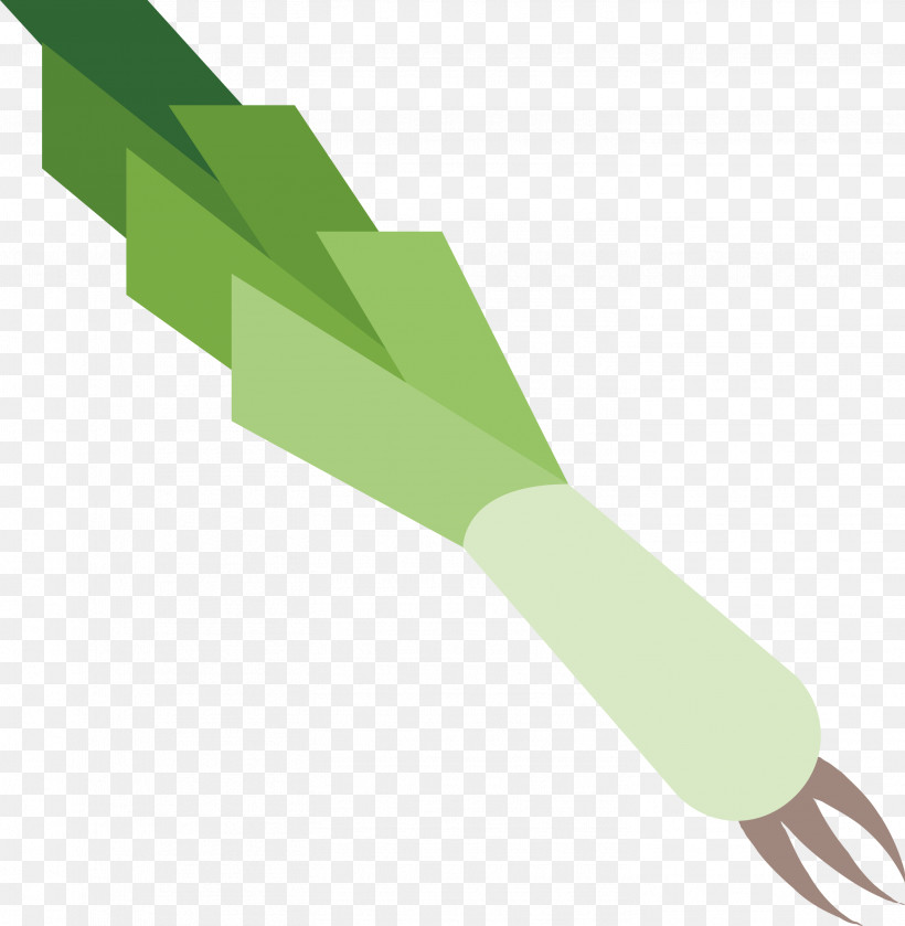 Leek, PNG, 2932x3000px, Leek, Green Download Free