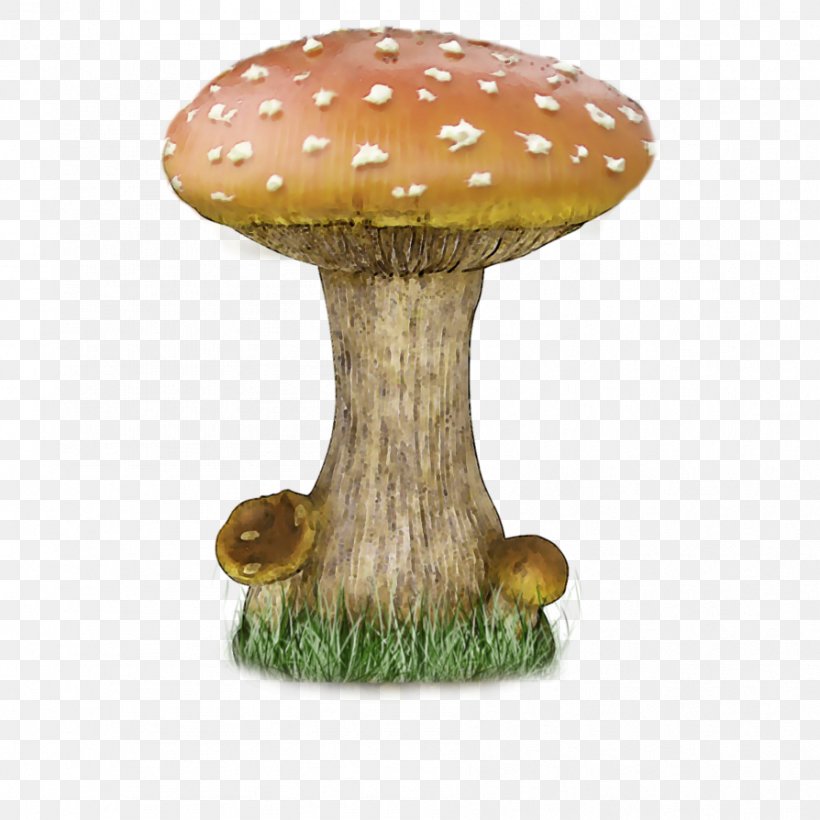 Mushroom Clip Art, PNG, 894x894px, Mushroom, Agaric, Deviantart, Edible Mushroom, Flowerpot Download Free