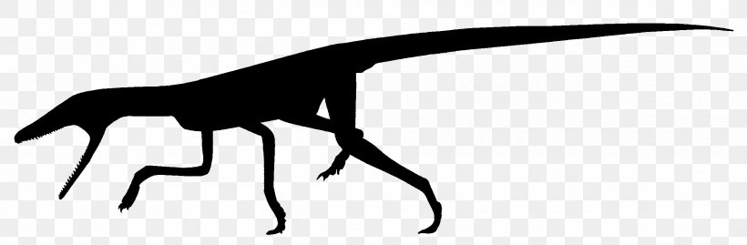 Terrestrisuchus Shuvuuia Theropods Dilophosaurus Archosaur, PNG, 2400x790px, Shuvuuia, Archosaur, Black And White, Crocodylomorpha, Dilophosaurus Download Free