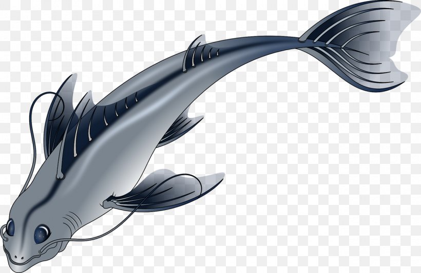 Download, PNG, 1280x832px, Fish, Automotive Design, Computer Graphics, Inkscape, Marine Mammal Download Free