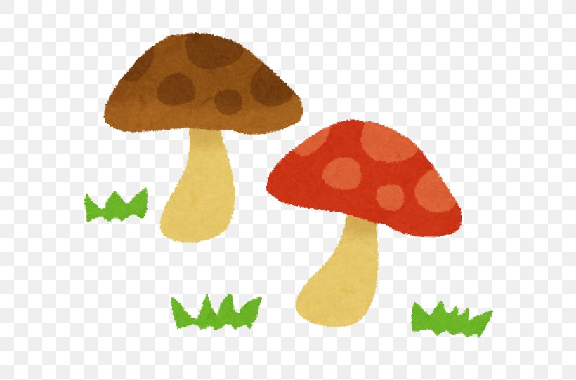 Mushroom Hunting Shiitake Shimeji Matsutake, PNG, 600x542px, 2017, Mushroom, Autumn, Edible Mushroom, Enokitake Download Free