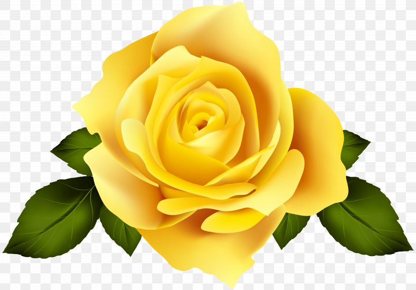 Rose Desktop Wallpaper Flower Bouquet, PNG, 8000x5593px, Rose, Austrian Briar, Close Up, Color, Cut Flowers Download Free
