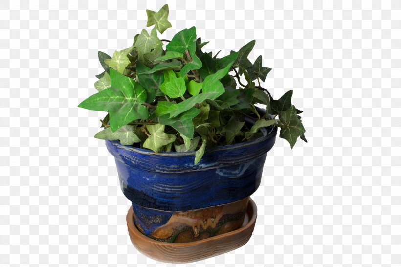 Spring Greens Flowerpot Houseplant Leaf Herb, PNG, 1920x1280px, Spring Greens, Flowerpot, Herb, Houseplant, Ivy Download Free