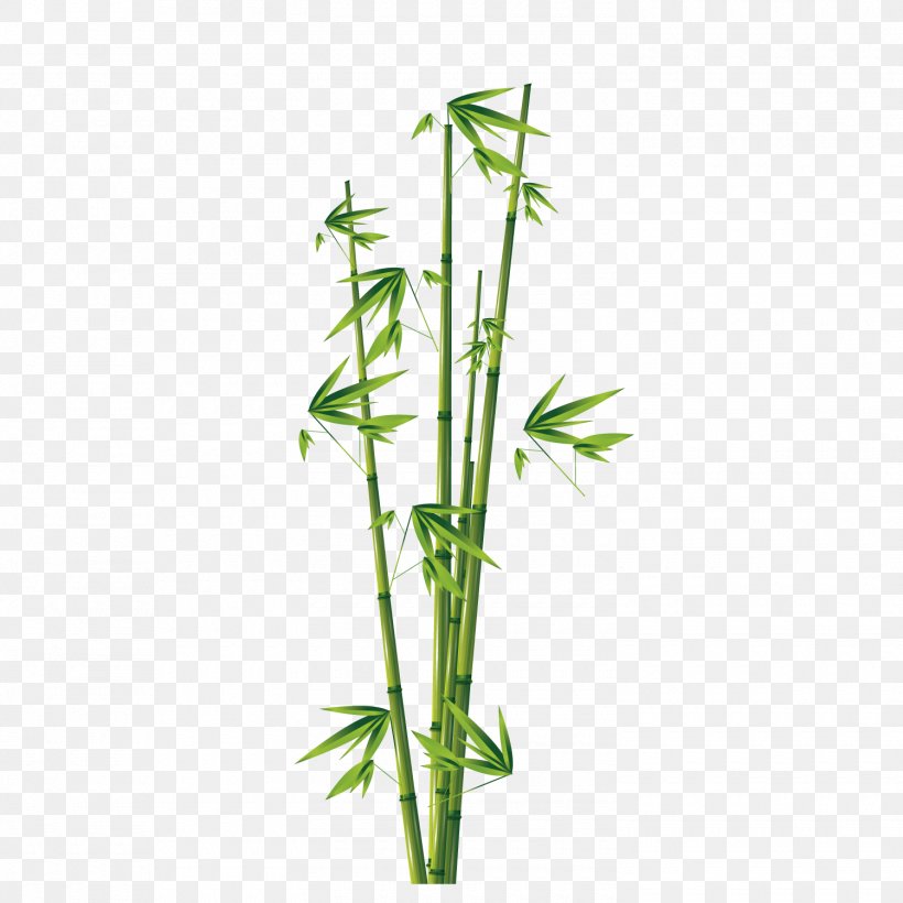 Bamboe Euclidean Vector, PNG, 1500x1501px, Bamboe, Bamboo, Element, Flora, Grass Download Free