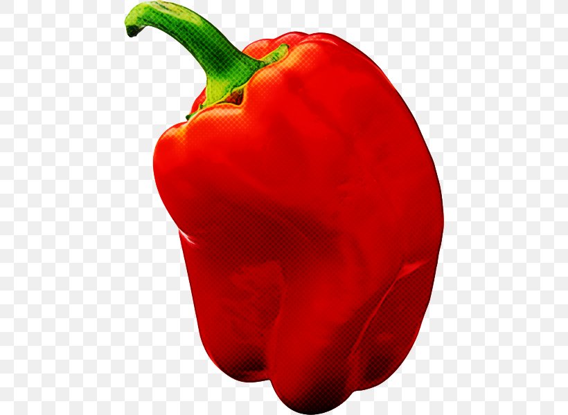 Bell Pepper Pimiento Capsicum Red Vegetable, PNG, 462x600px, Bell Pepper, Capsicum, Chili Pepper, Paprika, Pimiento Download Free