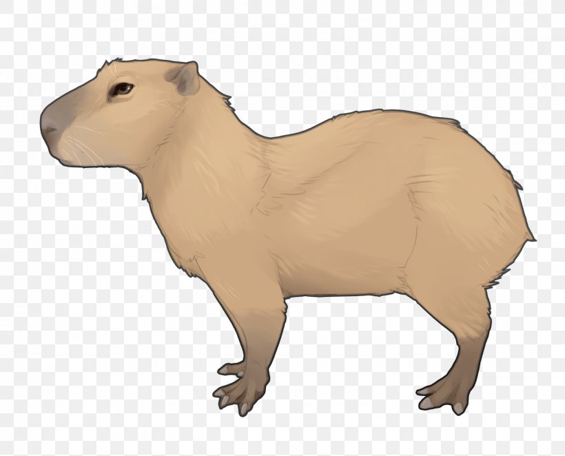 Capybara Animal Figure Terrestrial Animal Snout Fawn, PNG, 1440x1164px, Capybara, Animal Figure, Fawn, Snout, Terrestrial Animal Download Free