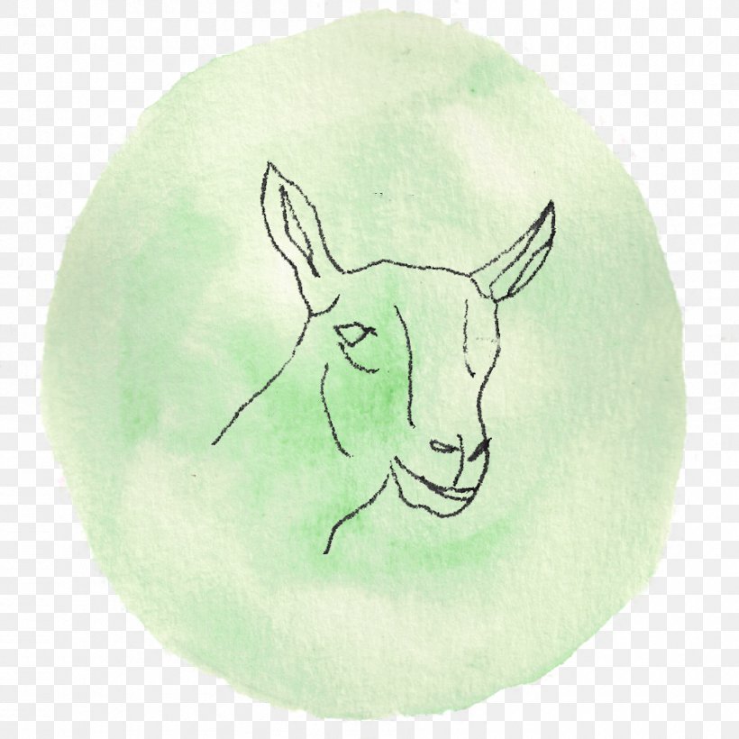 Cattle Goat Hare Drawing Food, PNG, 900x900px, Cattle, Animal, Cattle Like Mammal, Cow Goat Family, Drawing Download Free