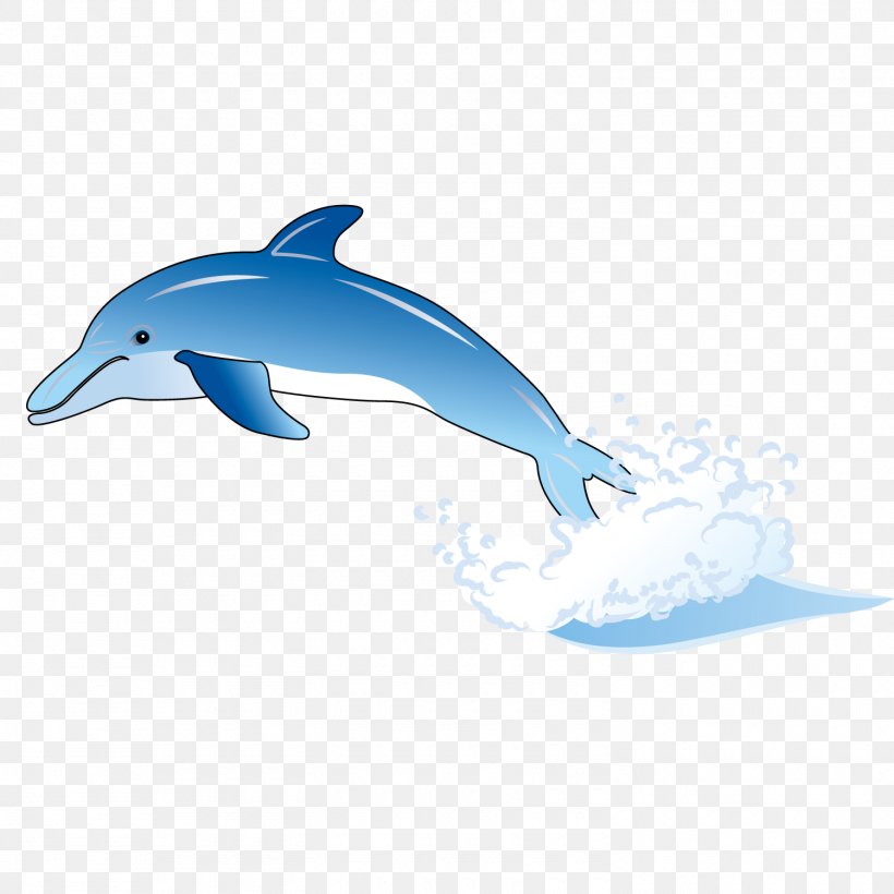 Common Bottlenose Dolphin Tucuxi Wholphin Short-beaked Common Dolphin, PNG, 1500x1500px, Common Bottlenose Dolphin, Blue, Cartoon, Dolphin, Electric Blue Download Free
